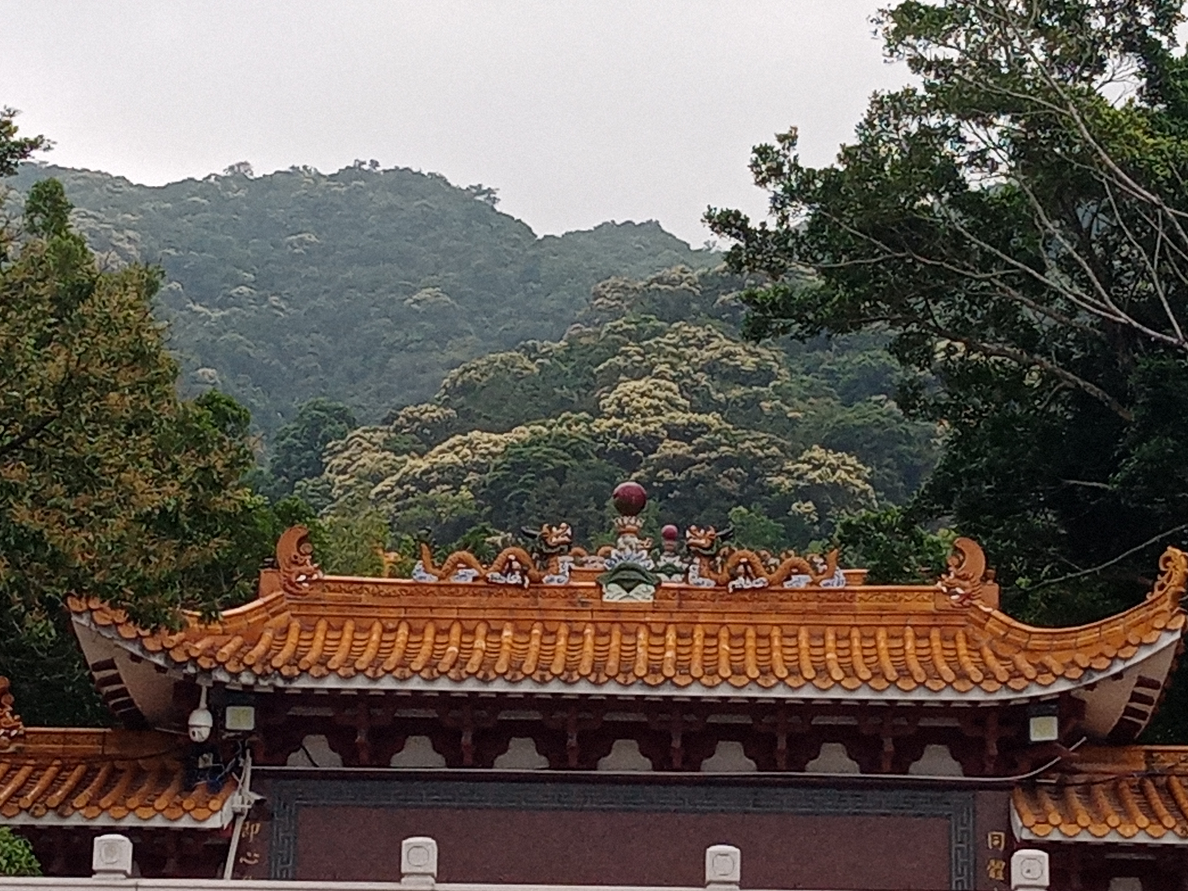 萩寺龙眼寺图片