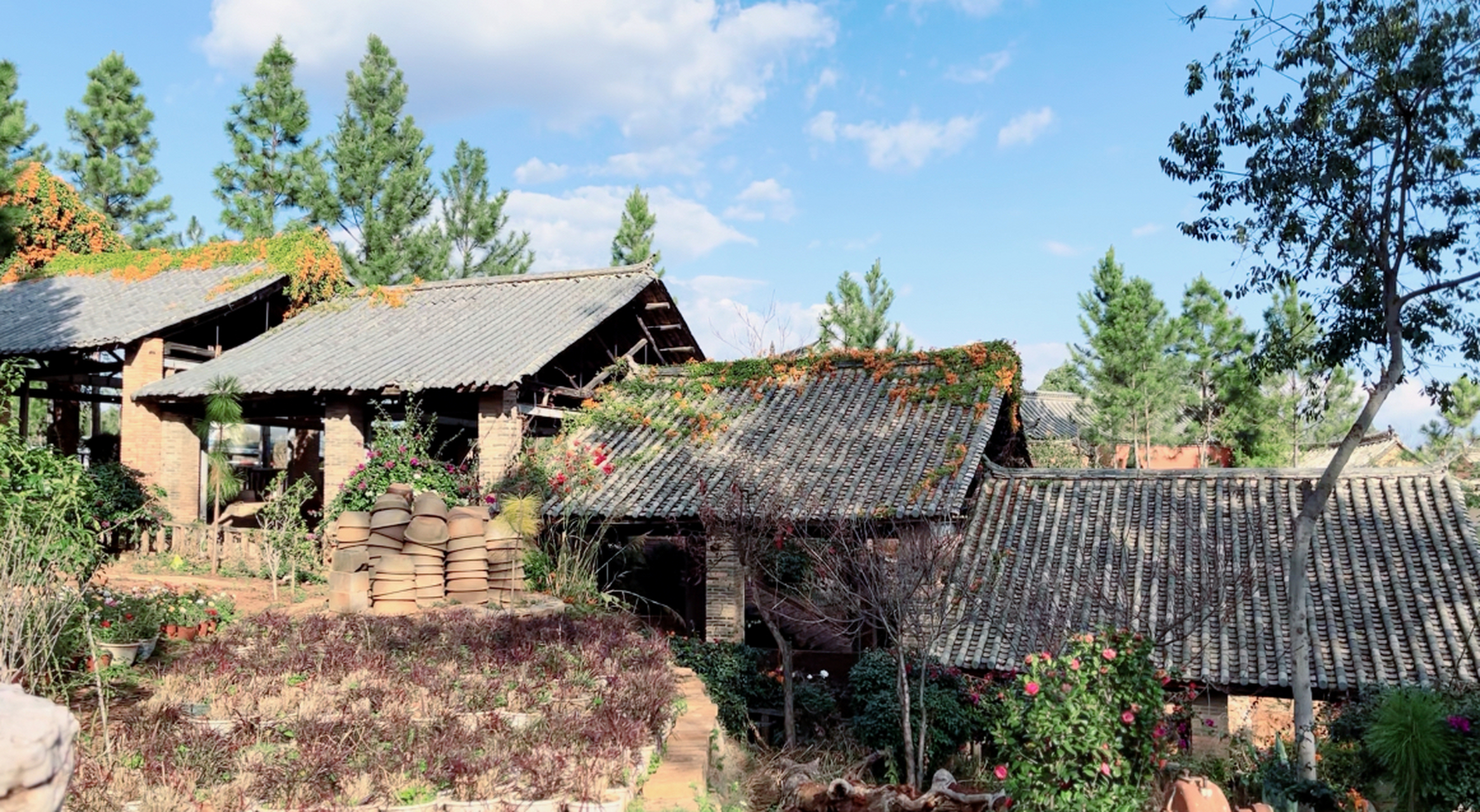 国内最长的柴烧龙窑在云南建水 建水龙窑依山坡而建,形似卧龙盘踞