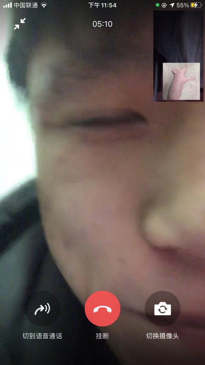 禹州菜园街朱鹏翔!