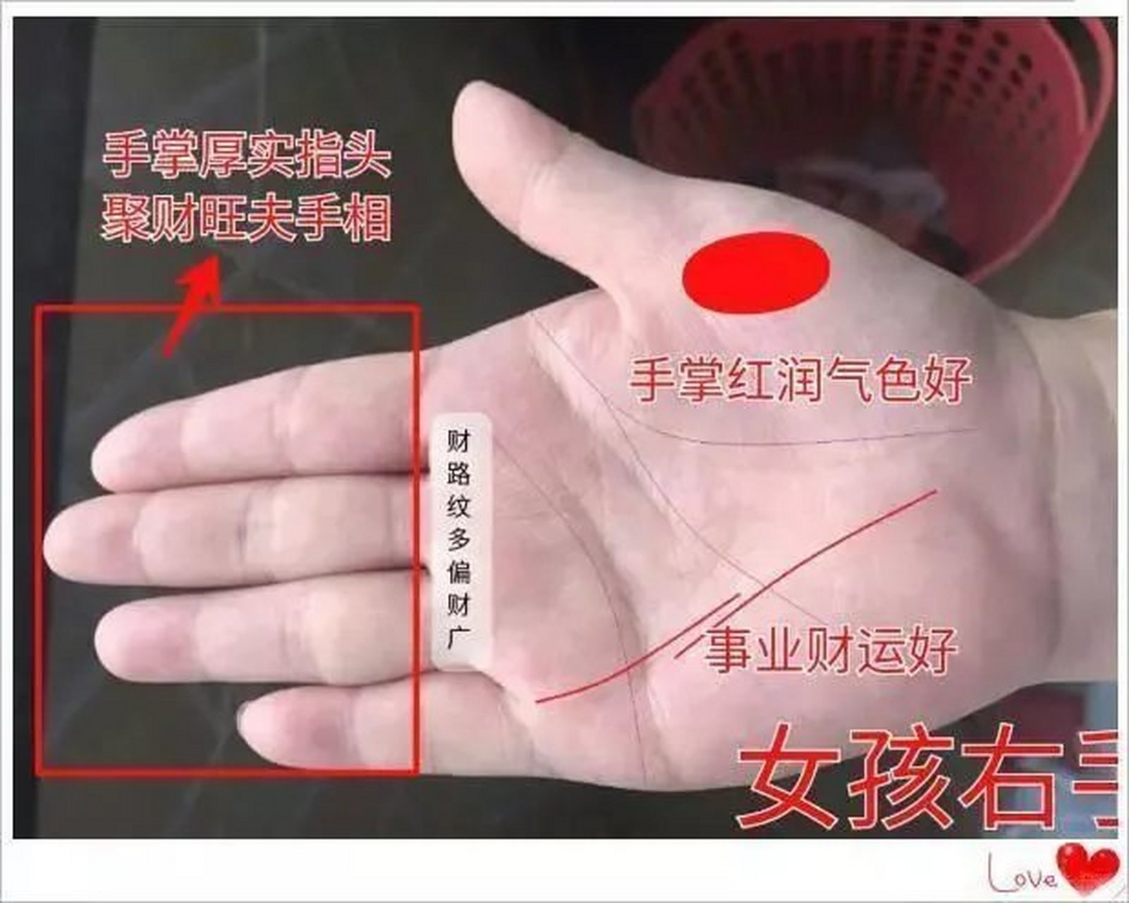 该女孩手相,整个手相轮廓非常好,手掌红润,事业线清晰,四指头并拢聚财