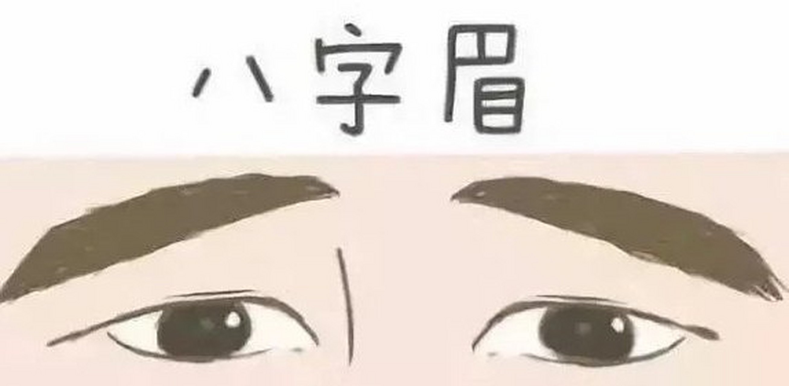 面相之八字眉  八字眉,特征在其眉毛像八字.