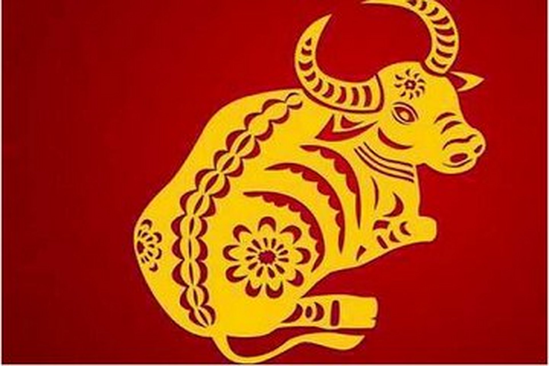 6月11日运势生肖牛女(2021年6月11号十二生肖运势如何)