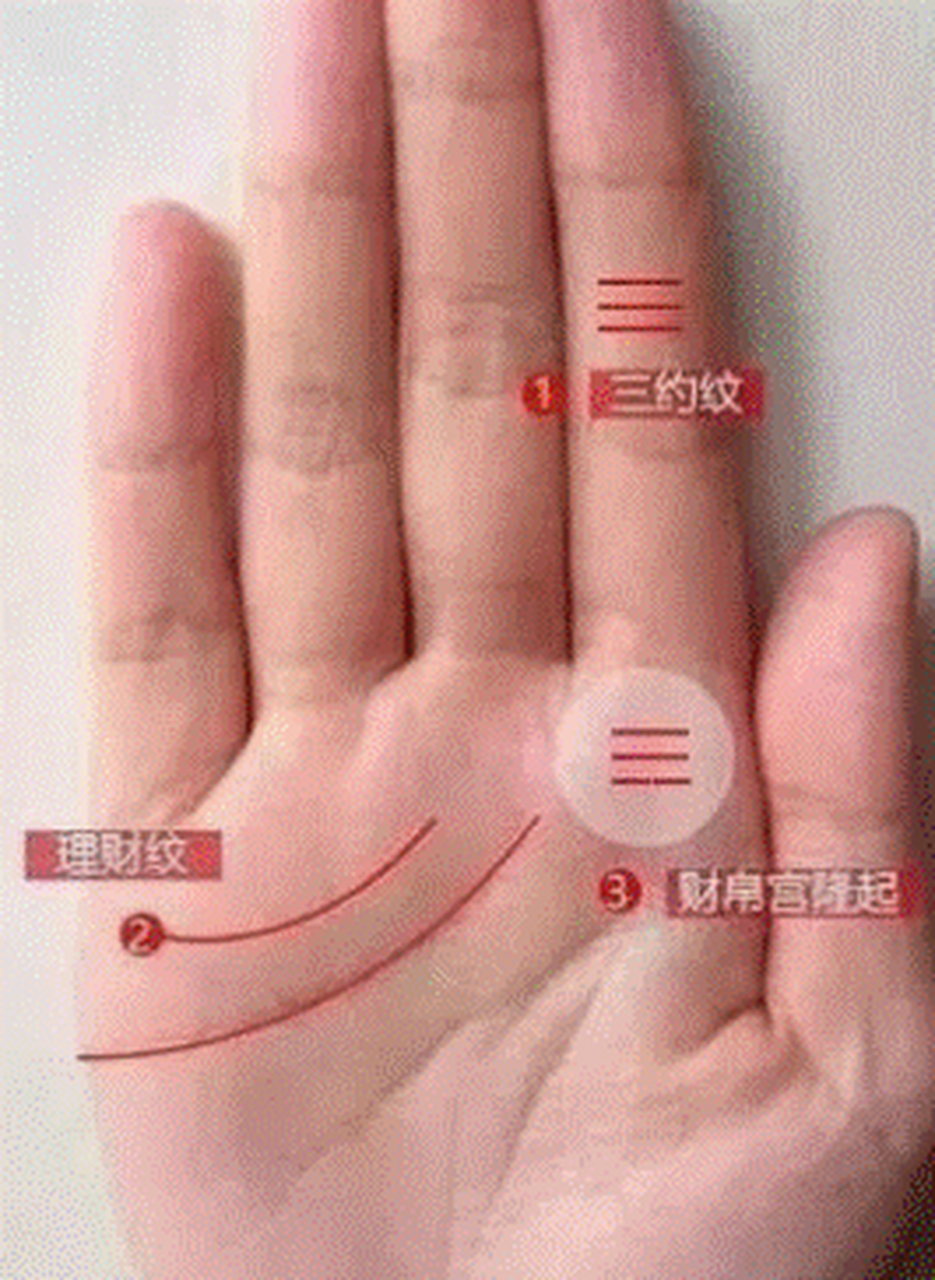 如果掌中的公印纹生长在感情线上,这样的人无论男女都会比较强势,会把