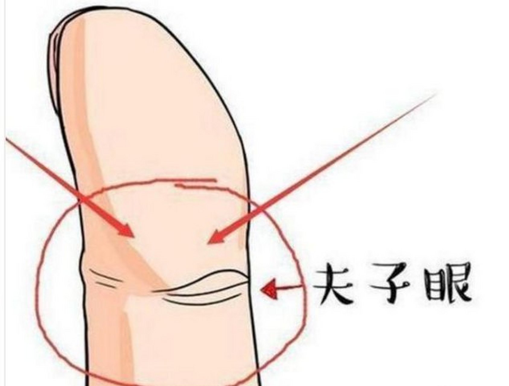 长有夫子眼的女人易嫁贵夫                  