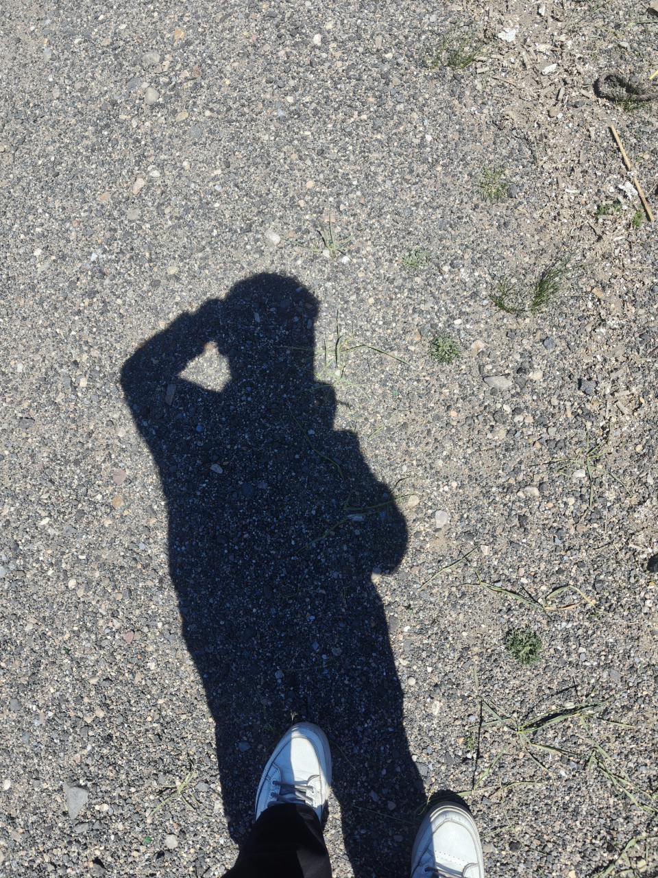 阳光下的影子🌞,仿佛一幅静默的画卷🖼️.