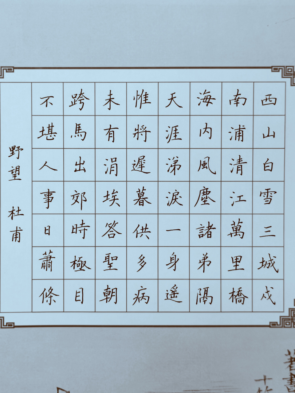 杜甫诗《野望》#硬笔书法# #书法交流小组