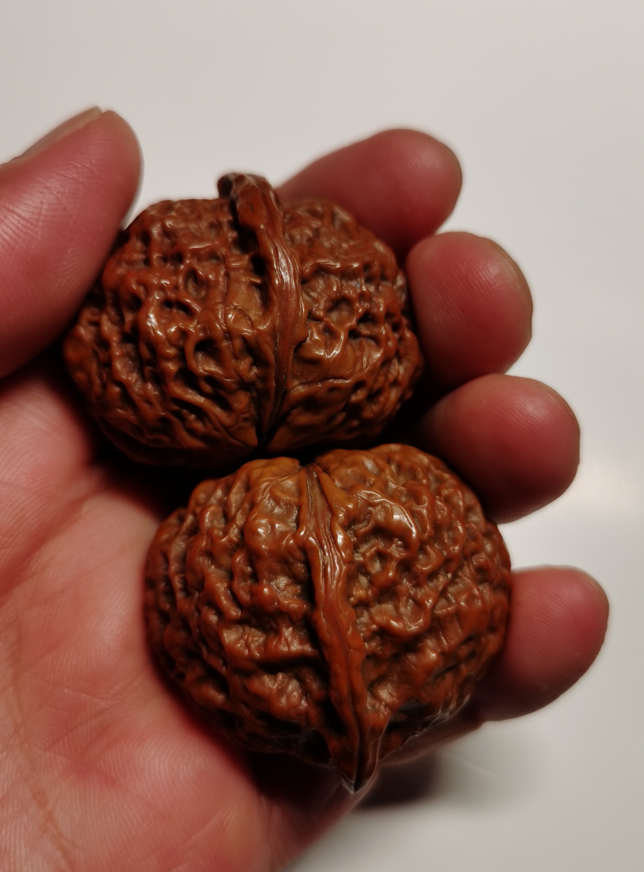 盘玩了有四年多的一对云南铁核桃