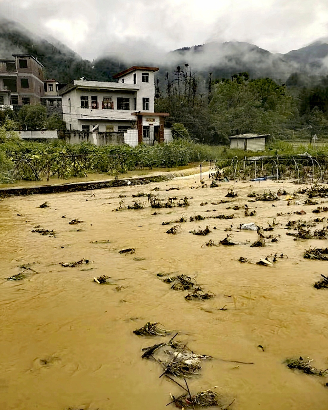 窑洞洪水图片