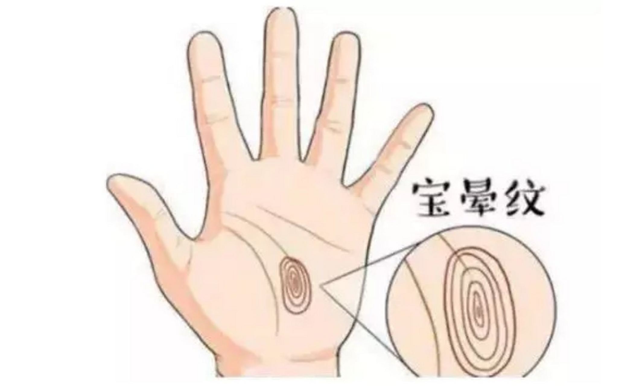 手掌中的宝晕纹,在手掌中像是螺旋一样,一圈一圈,向外推开.