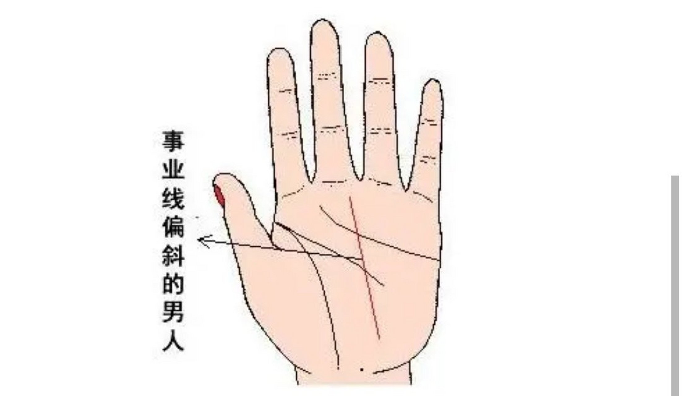 事业线偏斜  事业线偏斜,会有不同的想法,而且有不同的眼光,事业往往