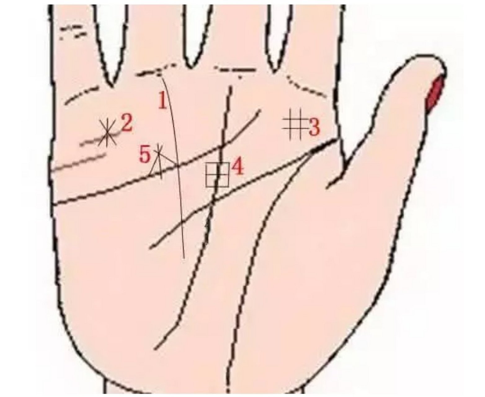豪宅纹位于无名指的下方,在天纹线的上方,又称金房子