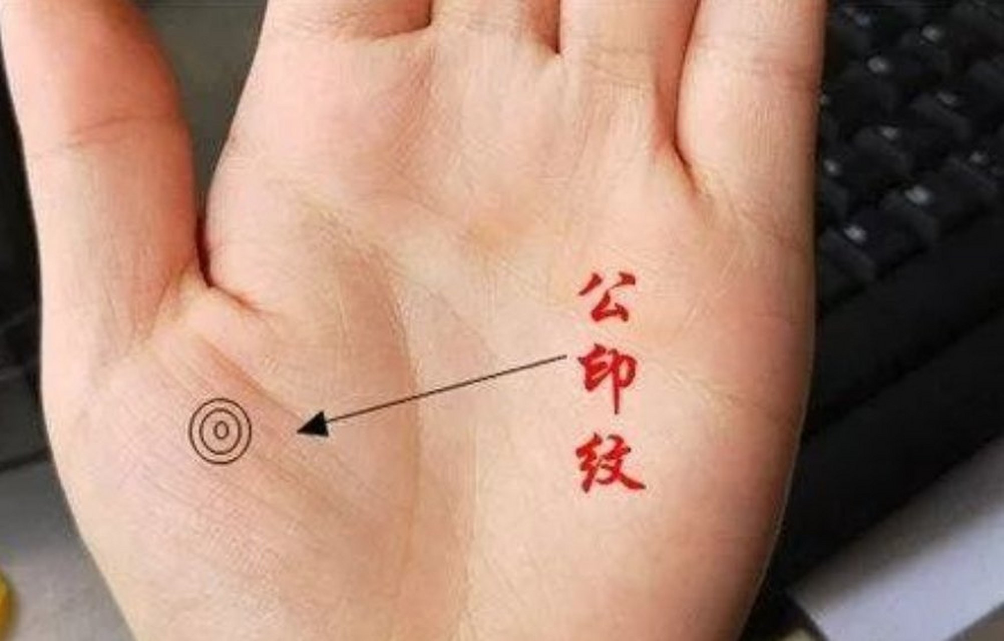 公印纹在手相学中,公印纹就像我们生活中,工作上常见的公章而得名.