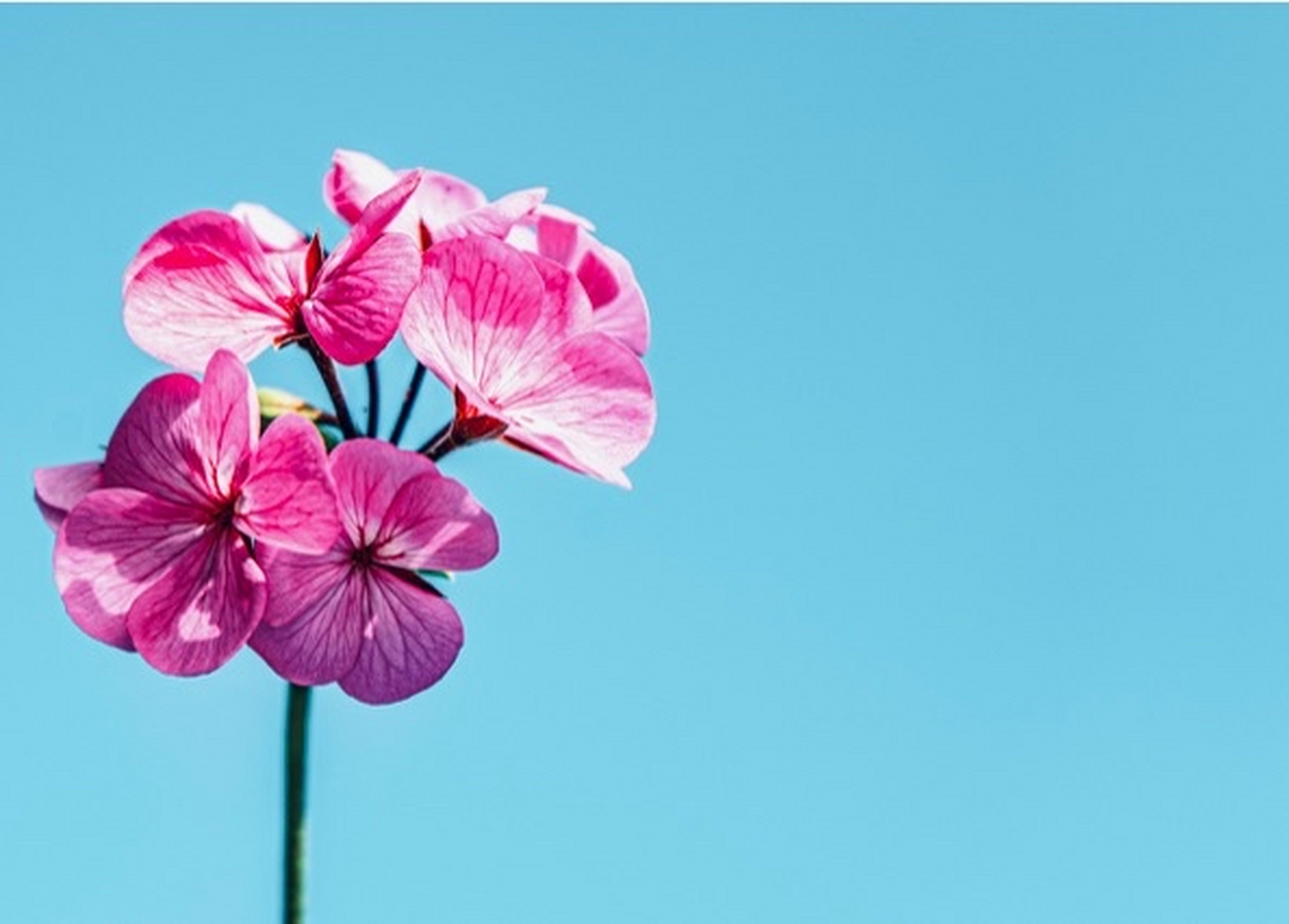 2023年8月06日(星期日)农历六月二十,立祠律吕神 相传元魏泰初元年