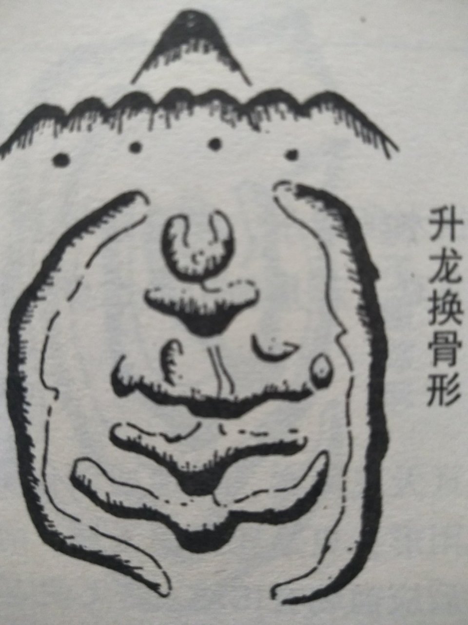 峦头派风水#"升龙换骨形"………升龙换骨骨纵横.此地时师见必惊.