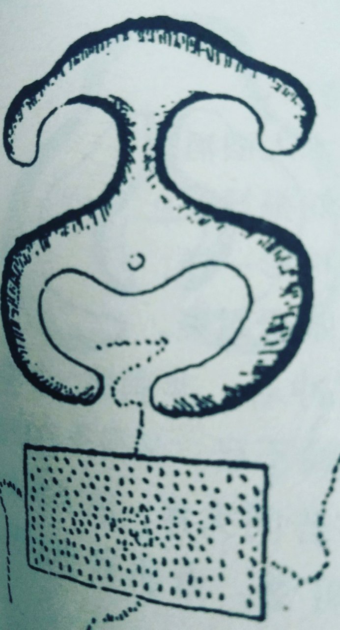 峦头派风水#寻龙点穴水法水形之"聚面水"………面前有水聚明堂.