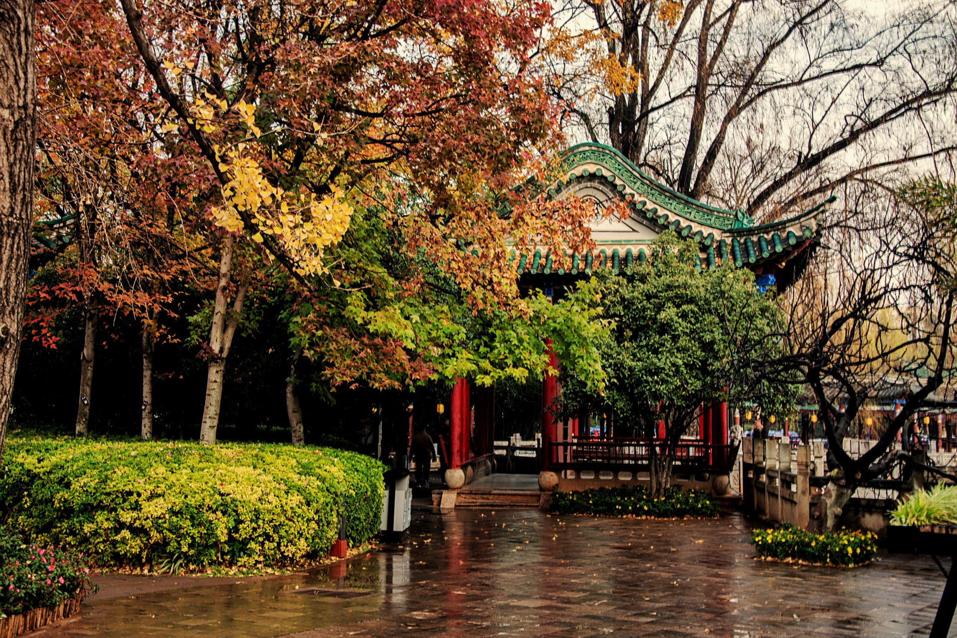 花亭之春【原创】         春日微醉,微风拂面,小亭静立于绿意与繁花