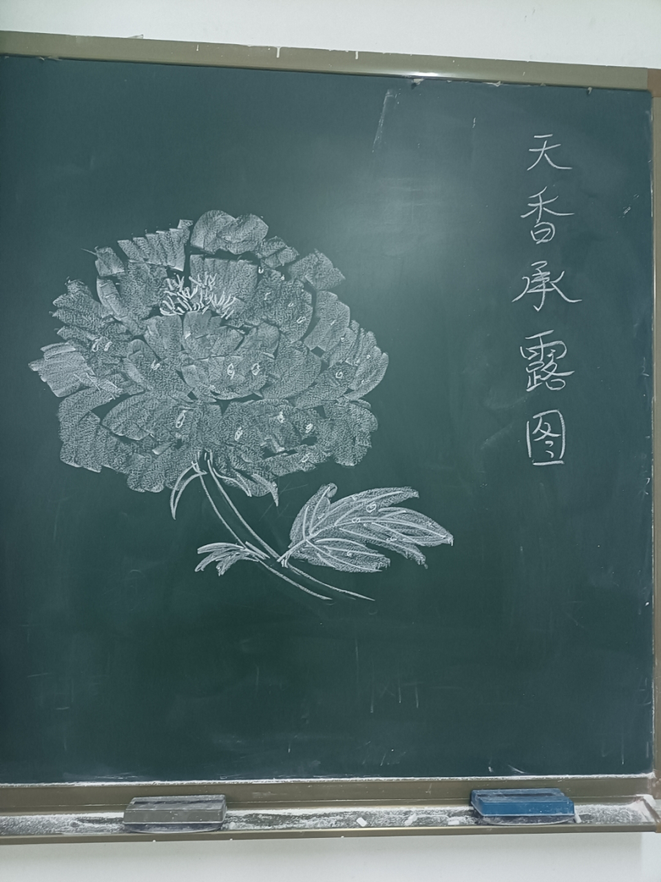 粉笔画牡丹