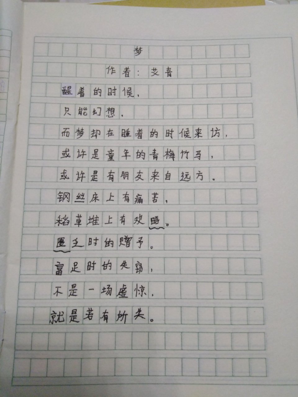 诗歌 《梦》 作者:艾青 原名蒋海澄