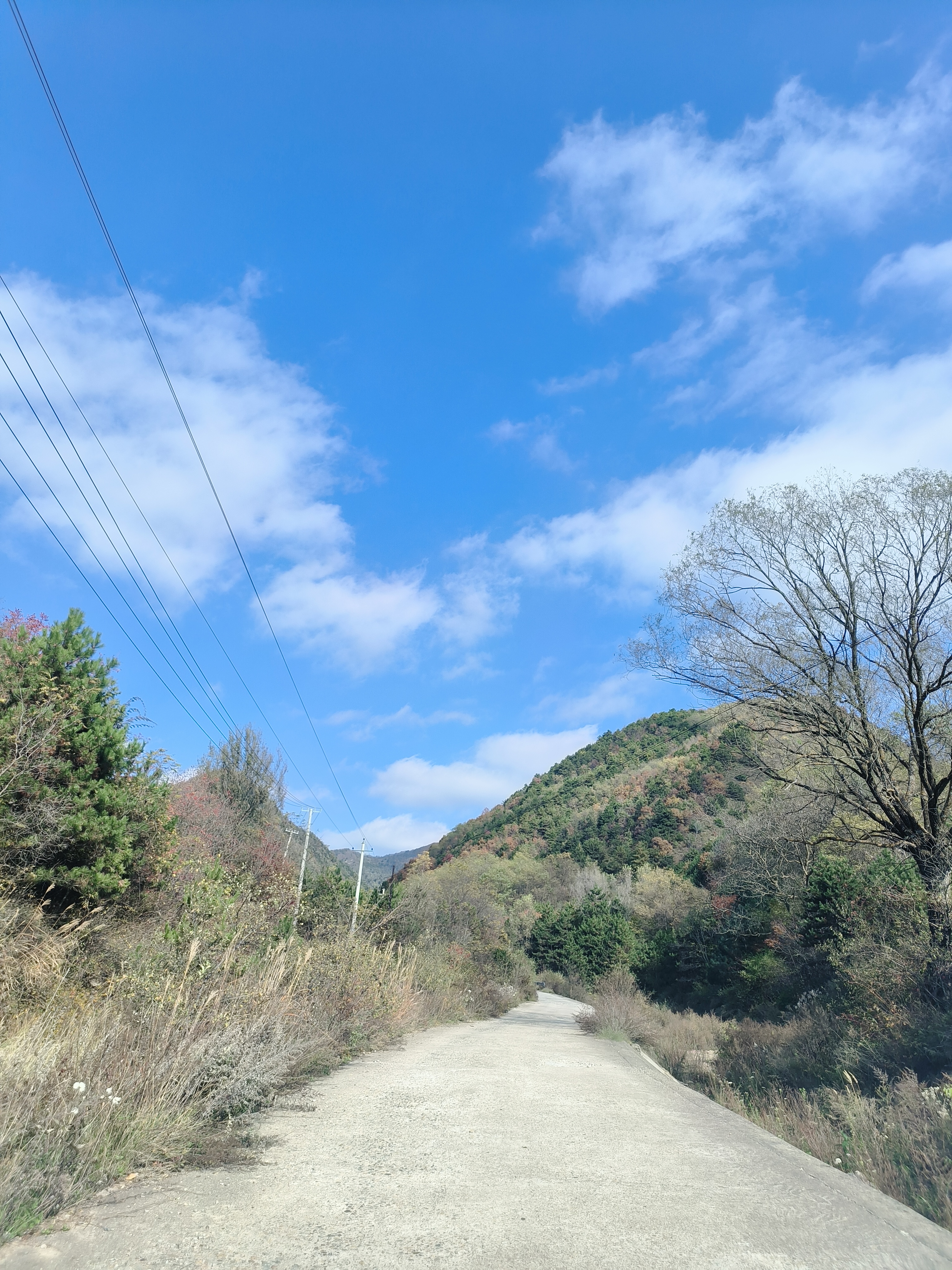 天水太阳山森林公园图片