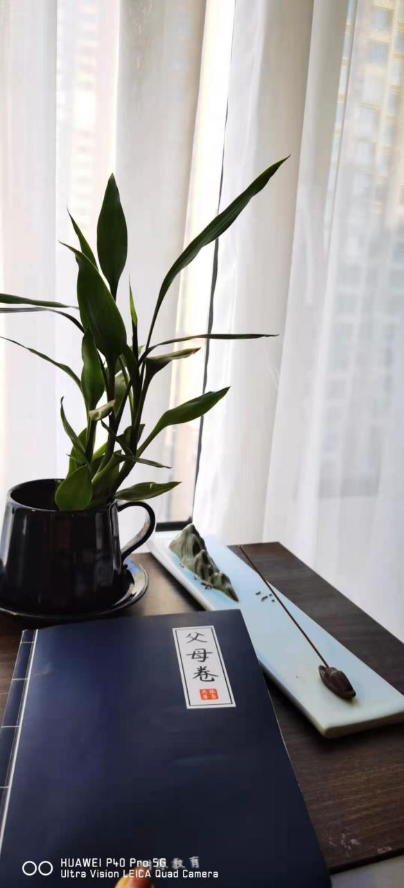 树原张雪燕父母卷    第16天    第16课            我可以自由