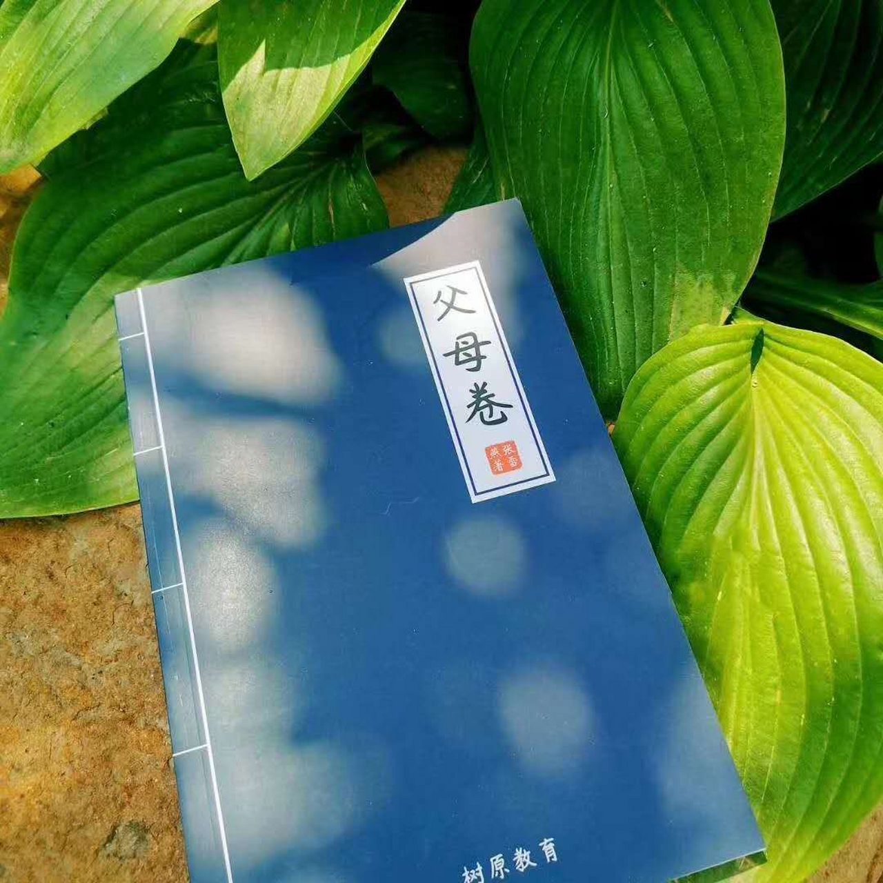 家庭教育# #树原张雪燕#  《父母卷》作者:张雪燕老师 第七天第七 