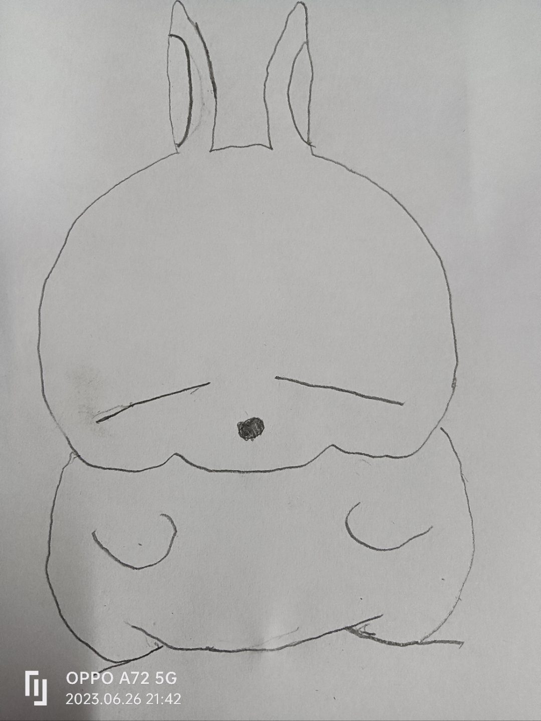 随便画的流氓兔