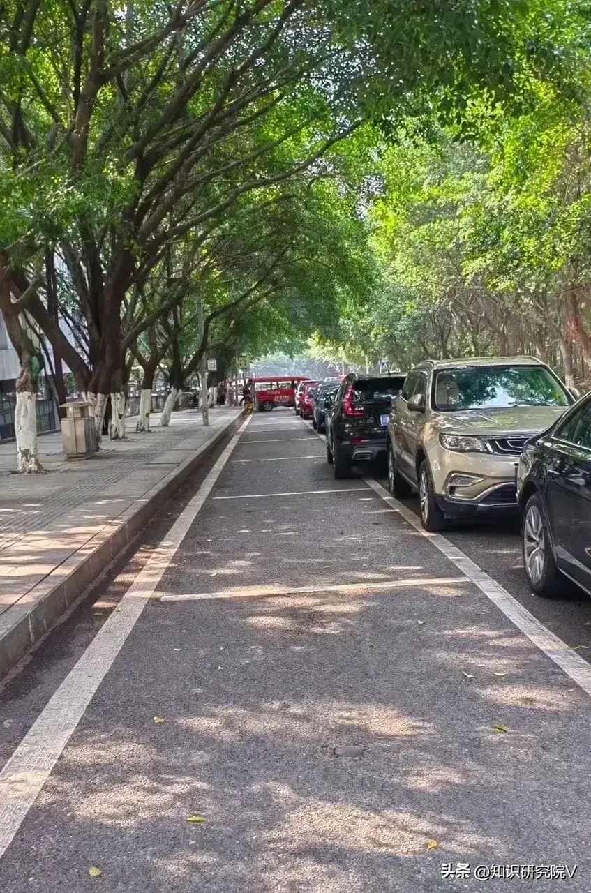 重庆"特色"停车.[大笑](图片来源网络)