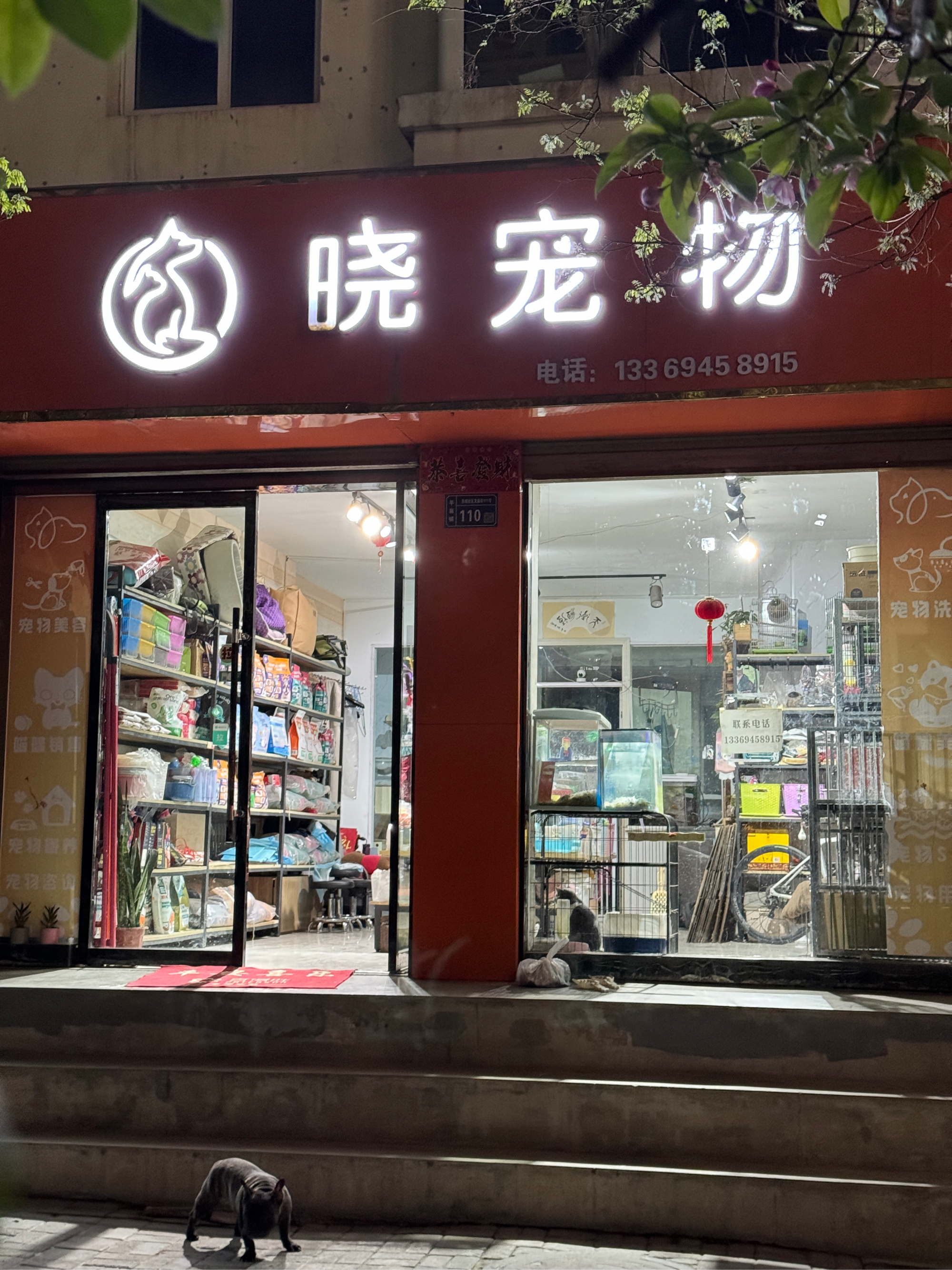 晓宠物通渭文庙街宠物店,主营宠物洗澡宠物美容宠物用品宠物spa