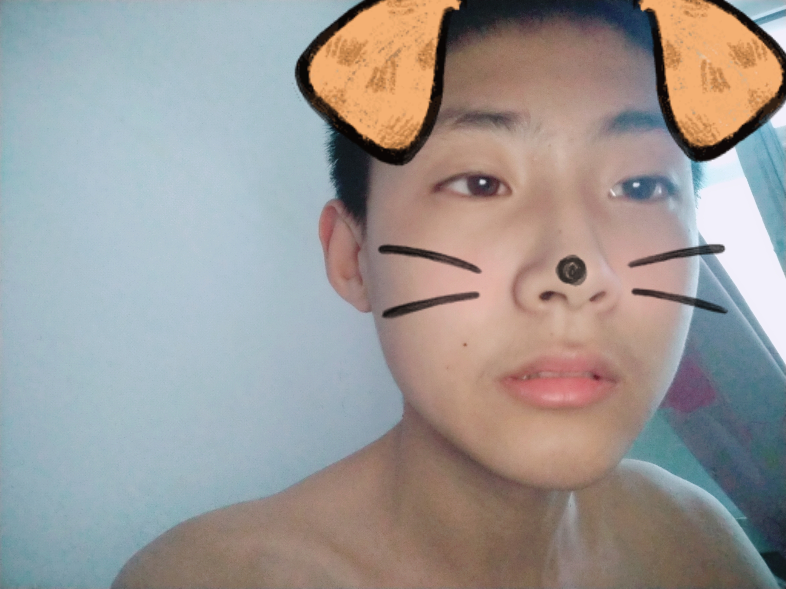 小狗贴纸[嘻嘻]