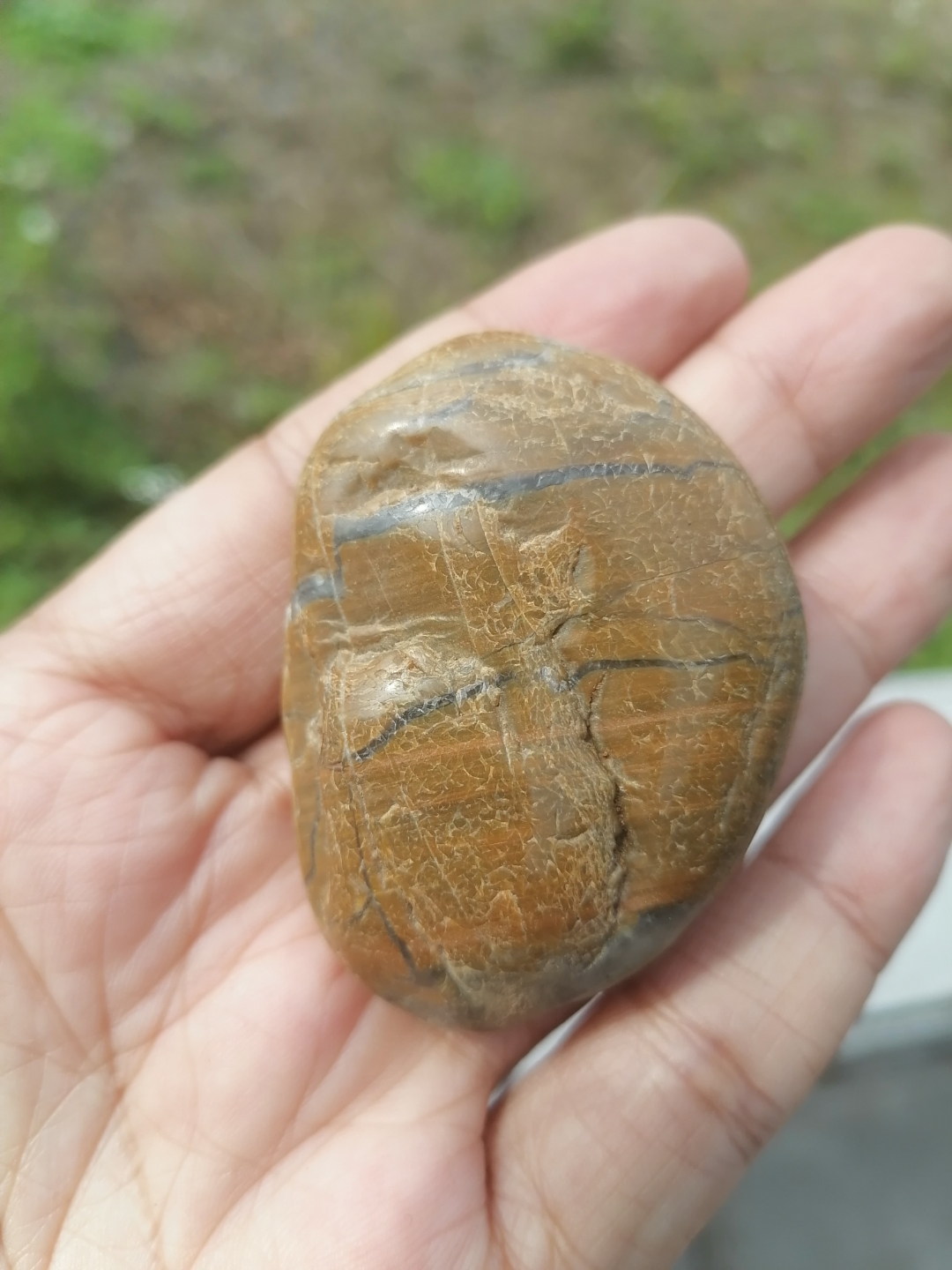 广西柳州奇石 有兴趣的朋友可以联系我