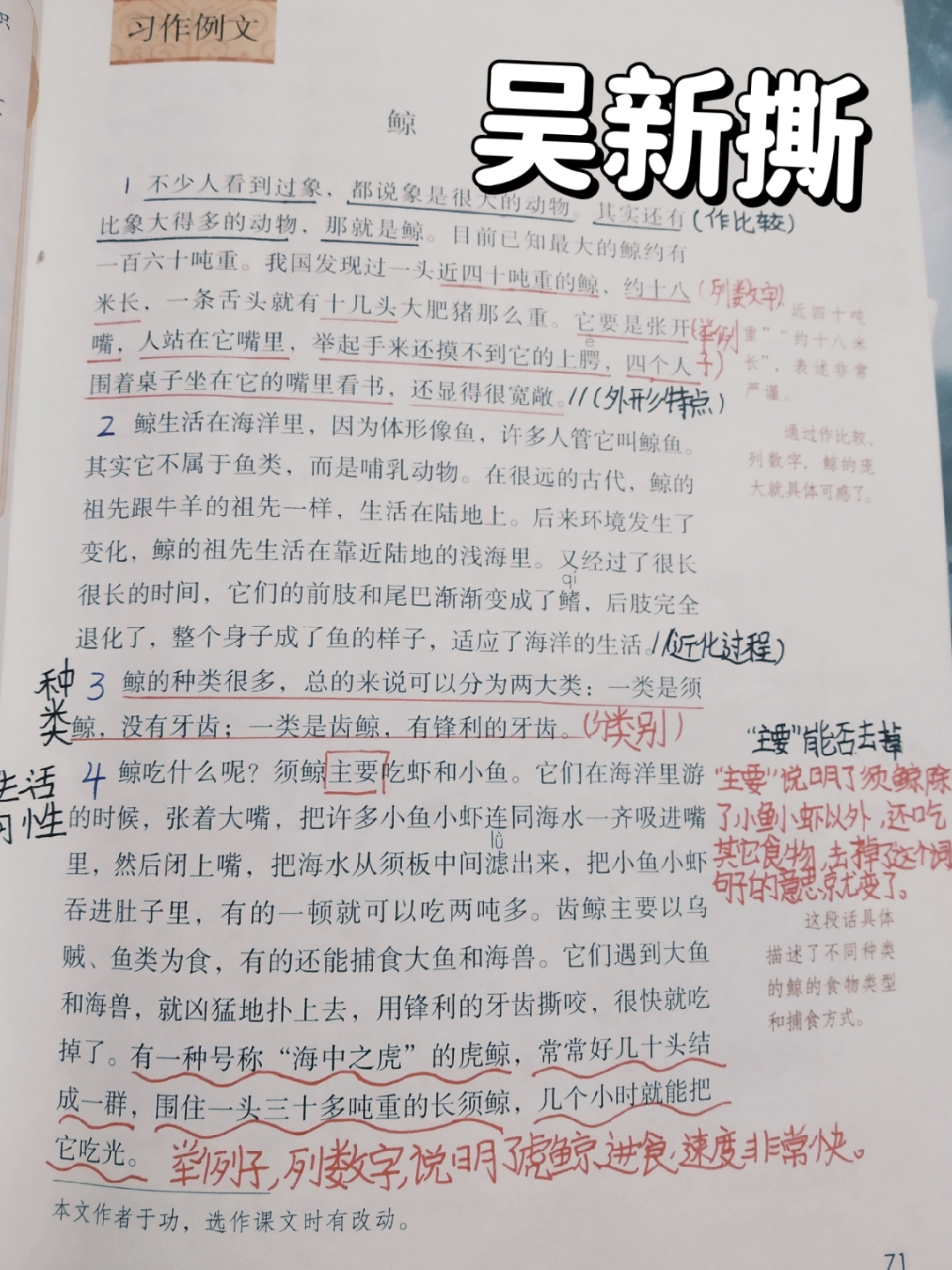 本文是一篇介绍鲸的外形特点和习性的说明文.