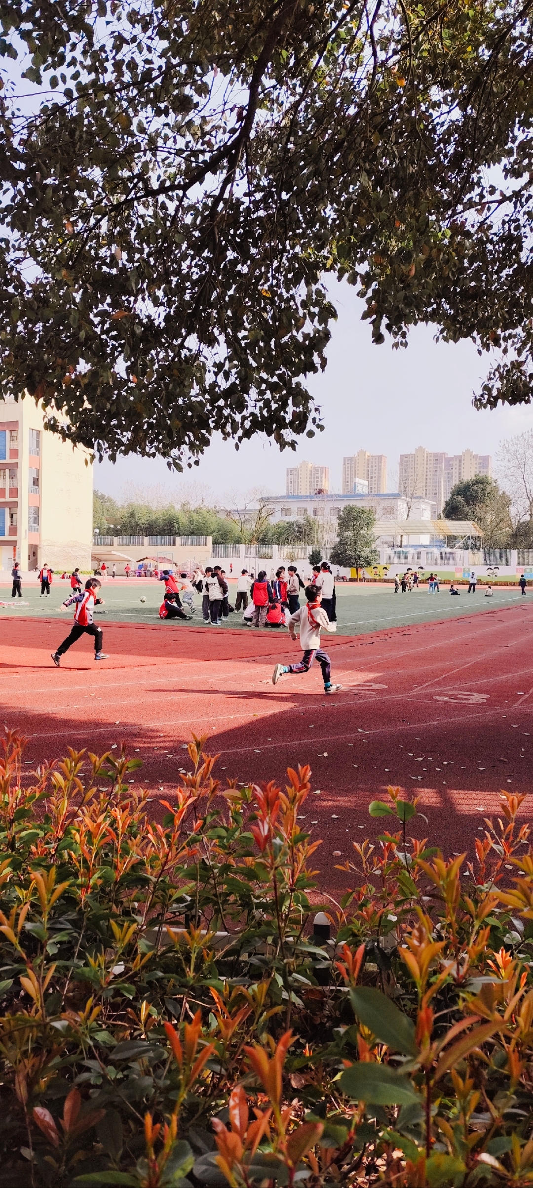 奔赴春天的旅行# 夏日荷塘,静谧之美