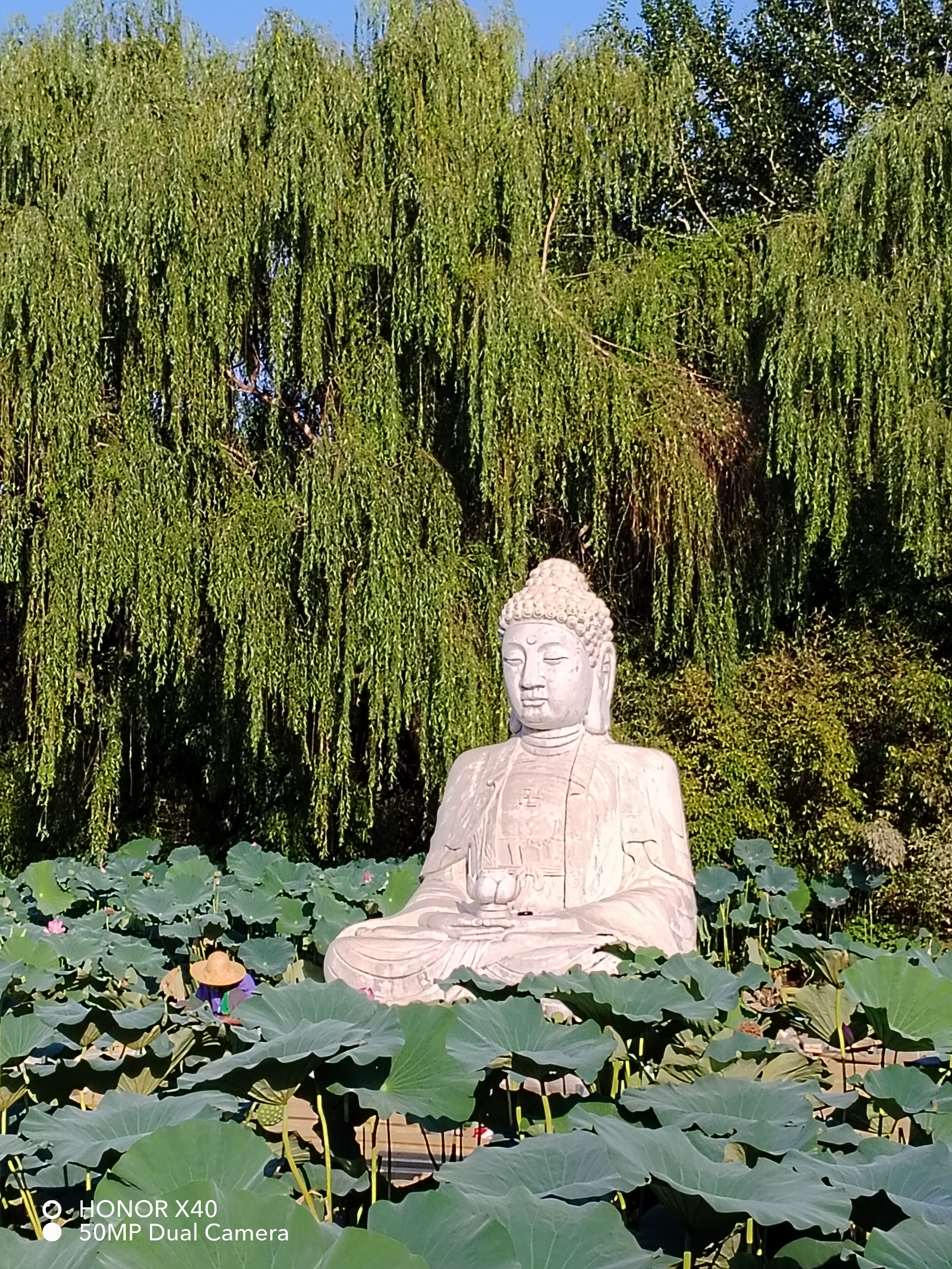 鸡泽县十大旅游景点图片