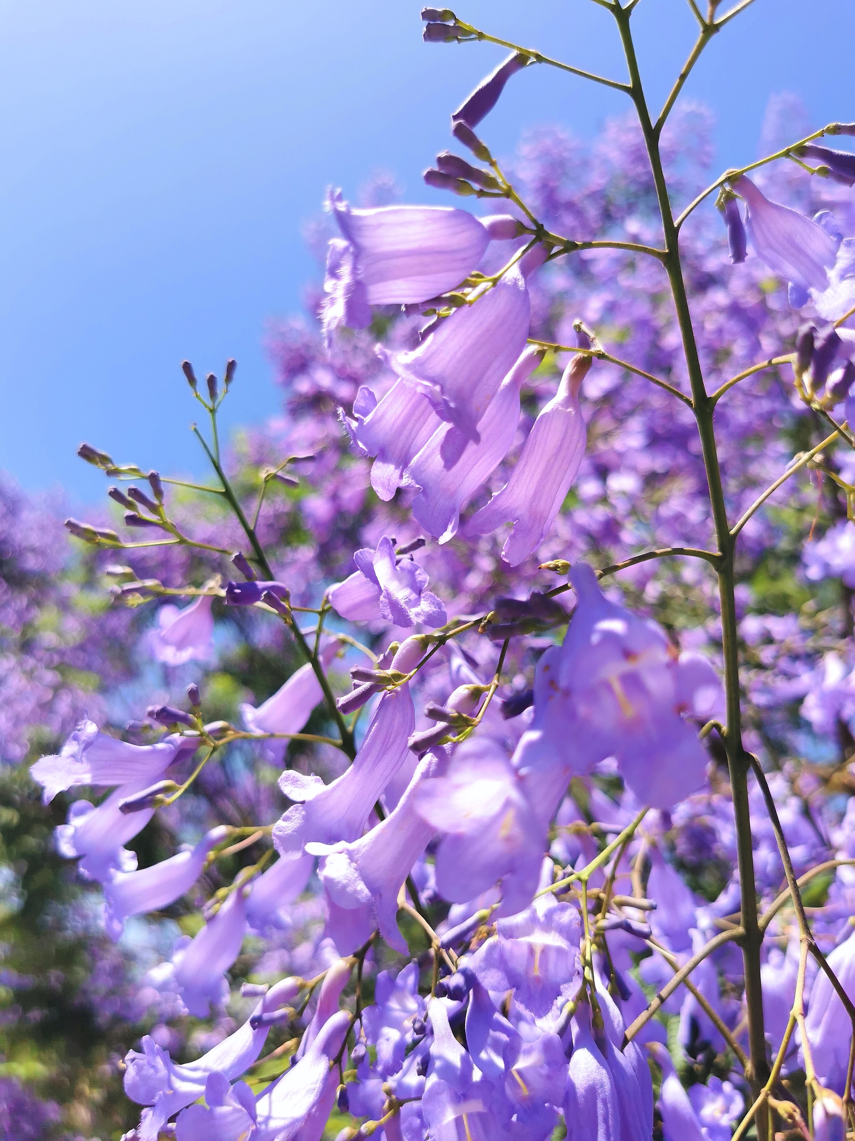 94  在这炎炎夏日