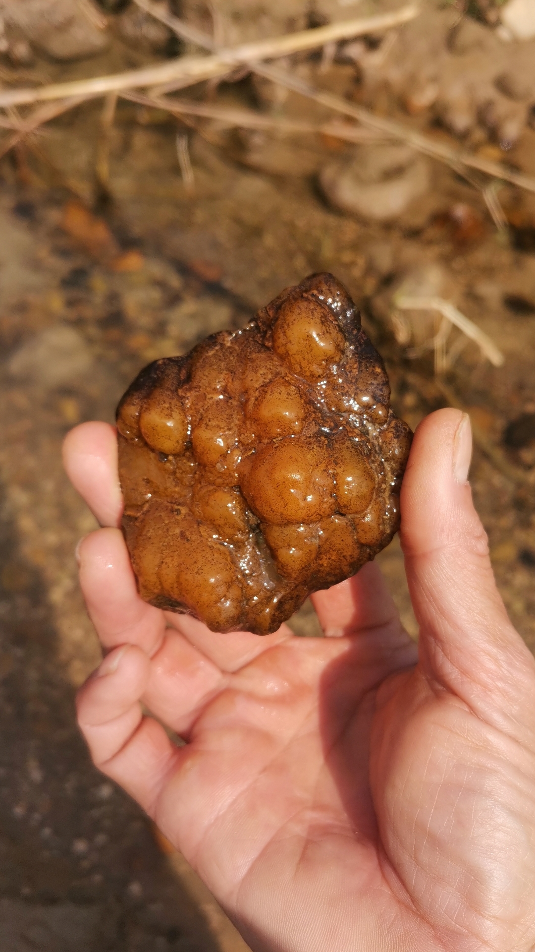 新疆天山天池能捡到石头 新疆天山天池能捡到石头