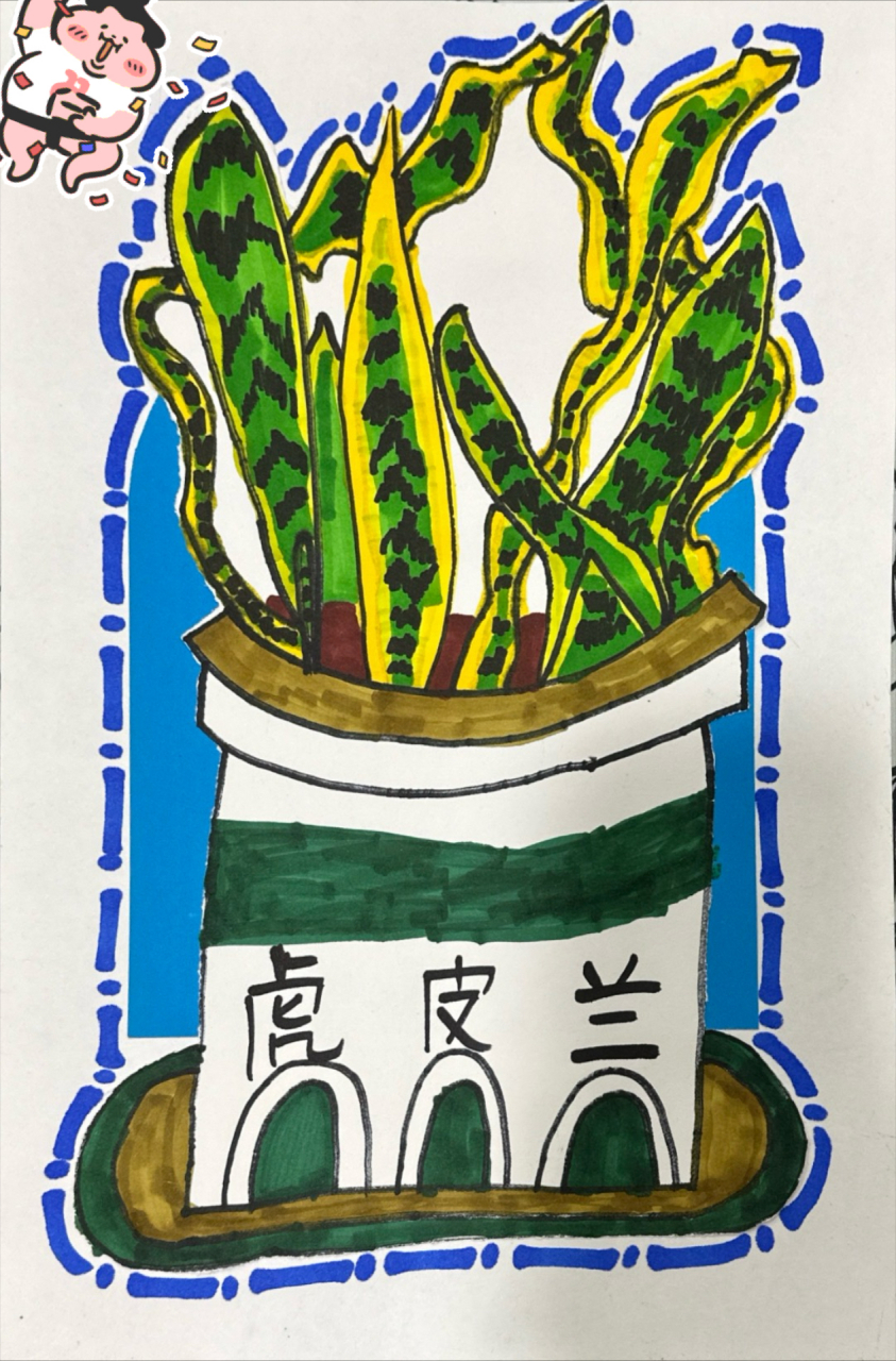 打卡虎皮兰写生[比心]