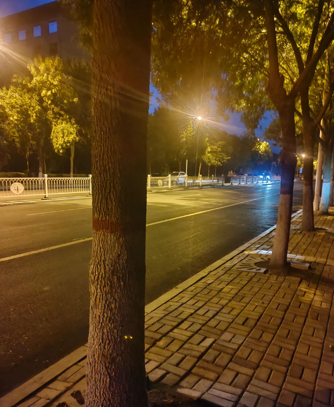 夜深了,街灯下的树影婆娑,独自一人,享受这份宁静.