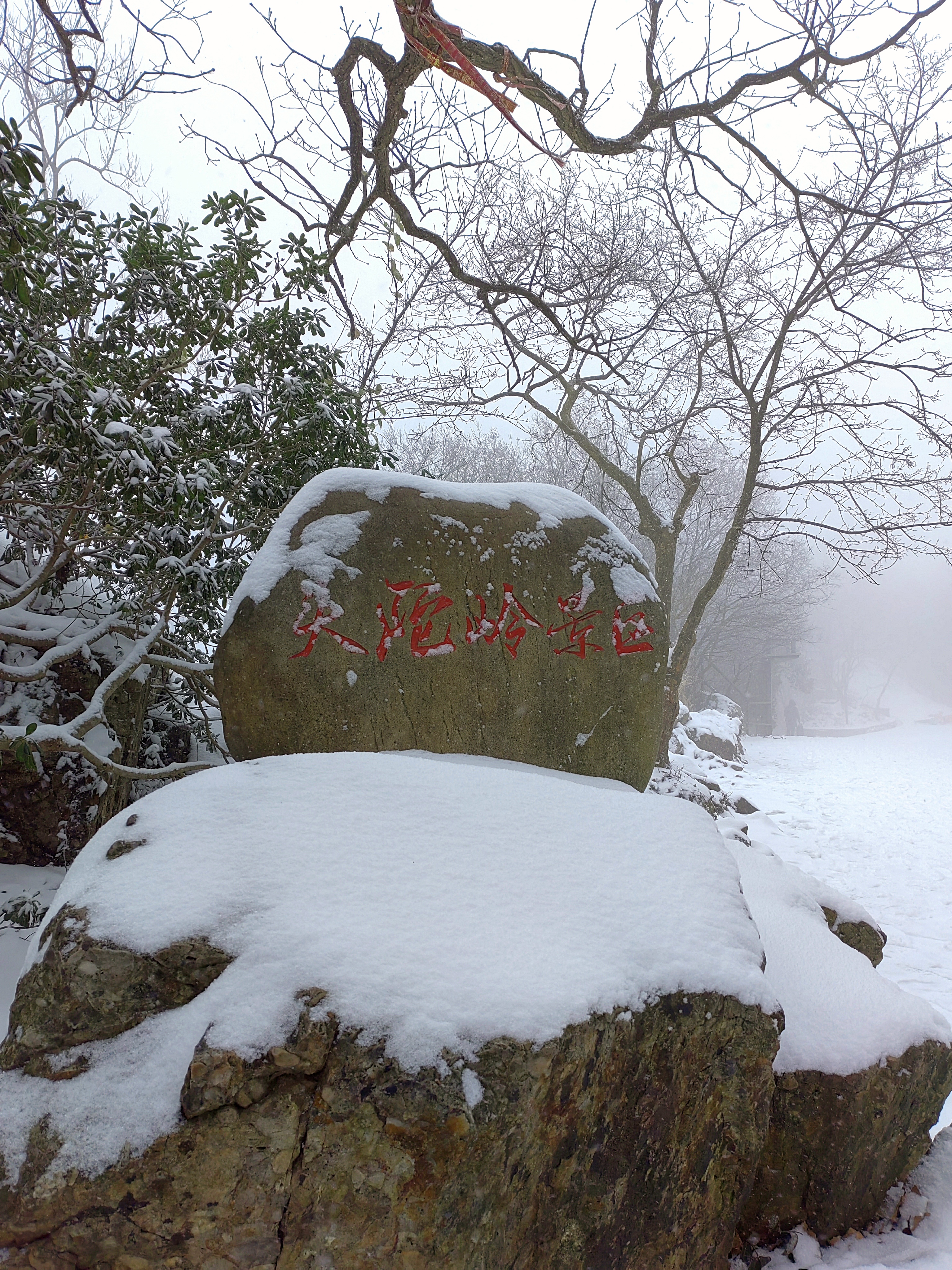 南京雪景紫金山图片