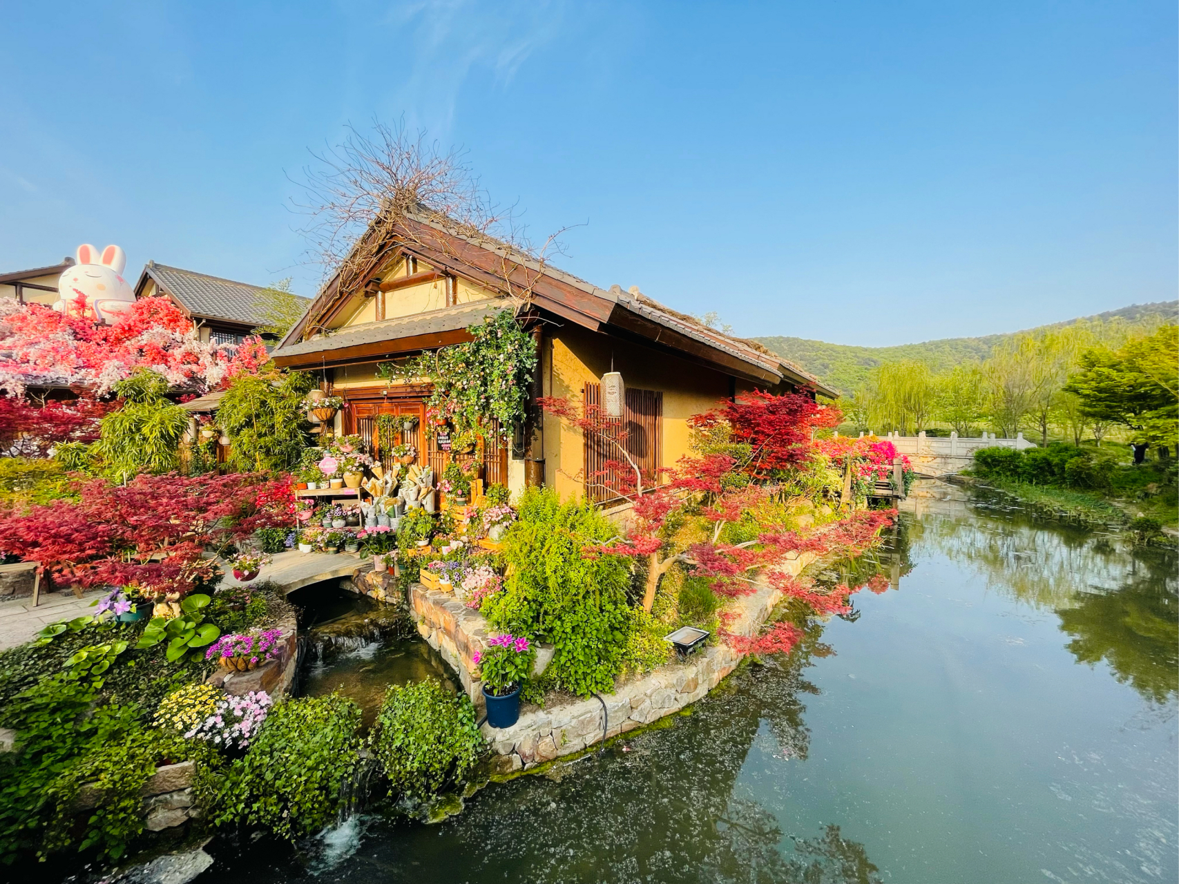 拈花湾鹿鸣谷景区图片图片