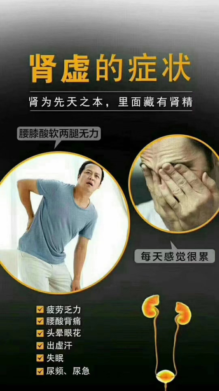 肾对人体的作用,肾为先天之本,里面藏有肾 肾对人体的作用,肾为先天之