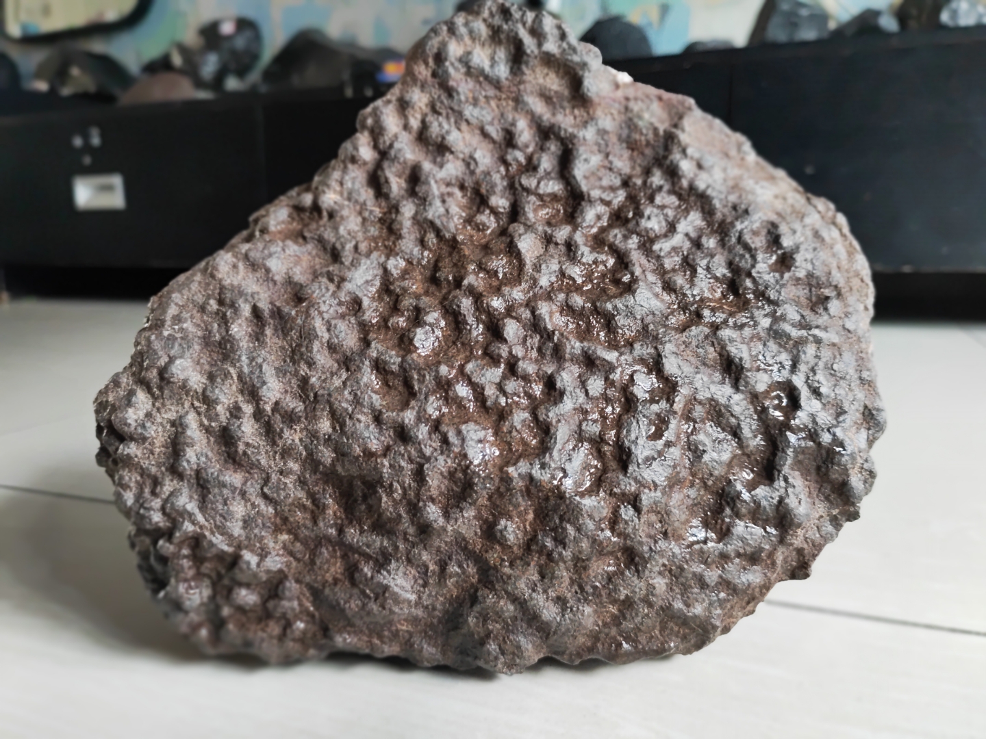 新疆罗布泊橄辉球粒石陨石