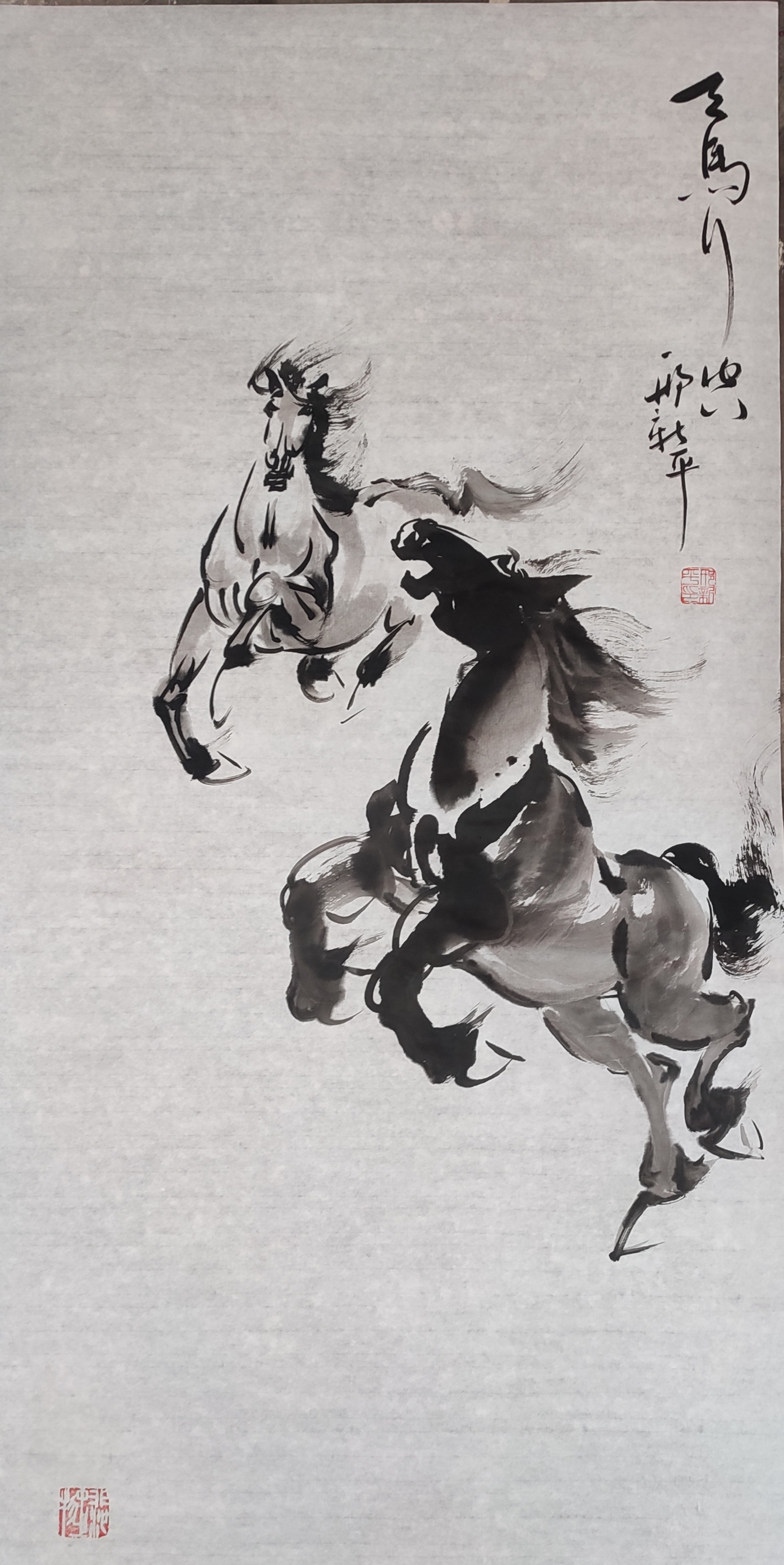 黑与白交织,勾勒马之雄姿,尽显力与美之和谐.