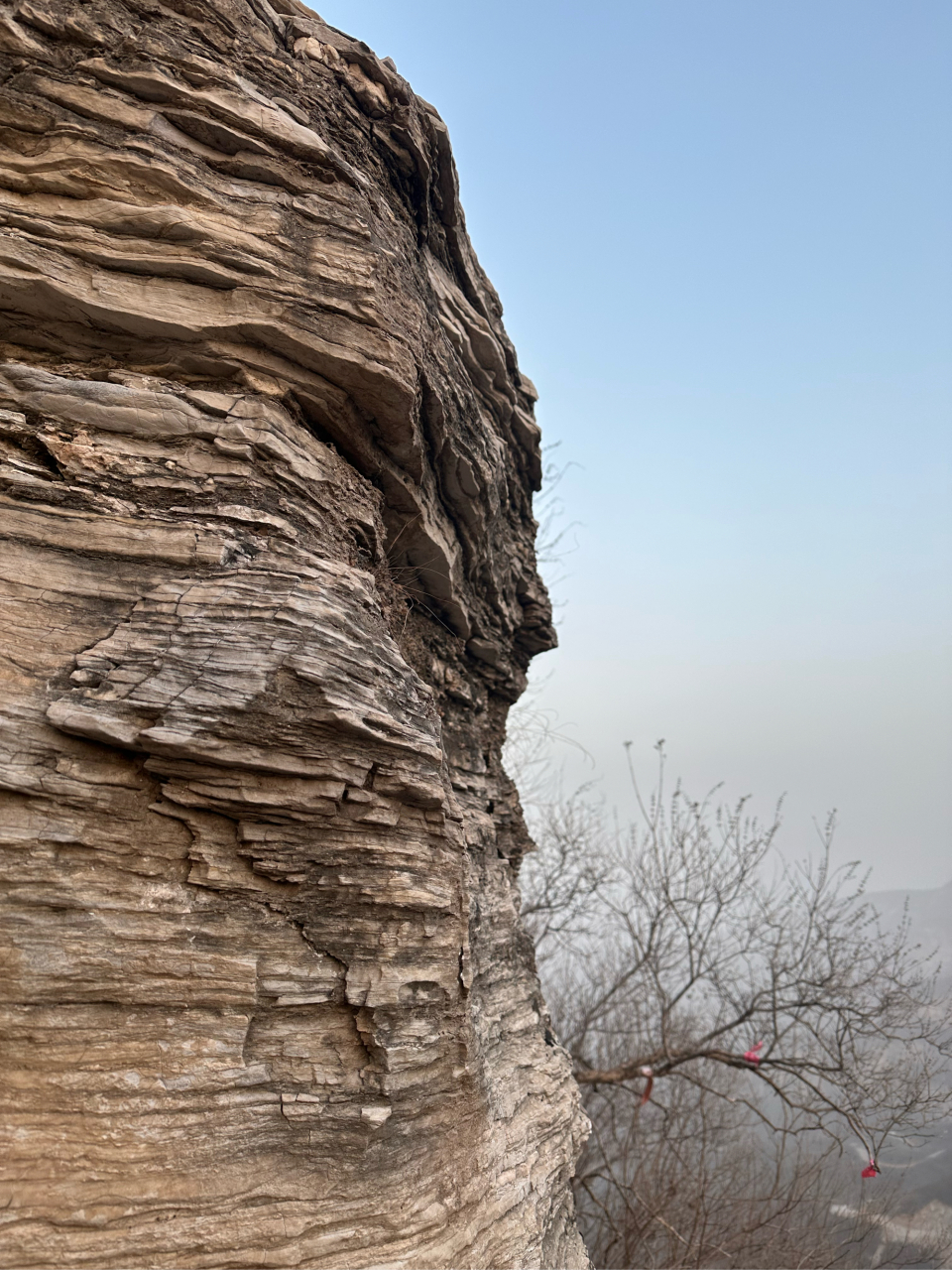 青山棺材山图片