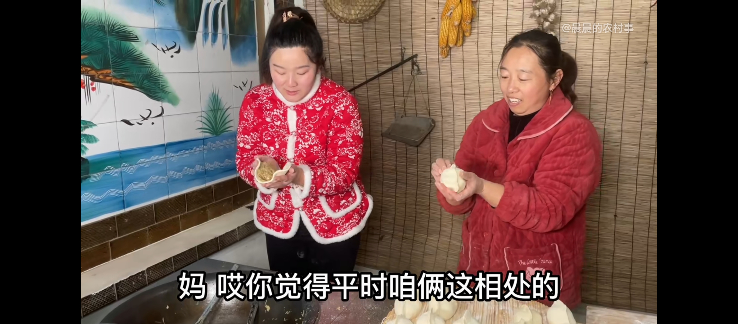 晨晨农村事直播时间(晨晨的农村事直播在哪看)