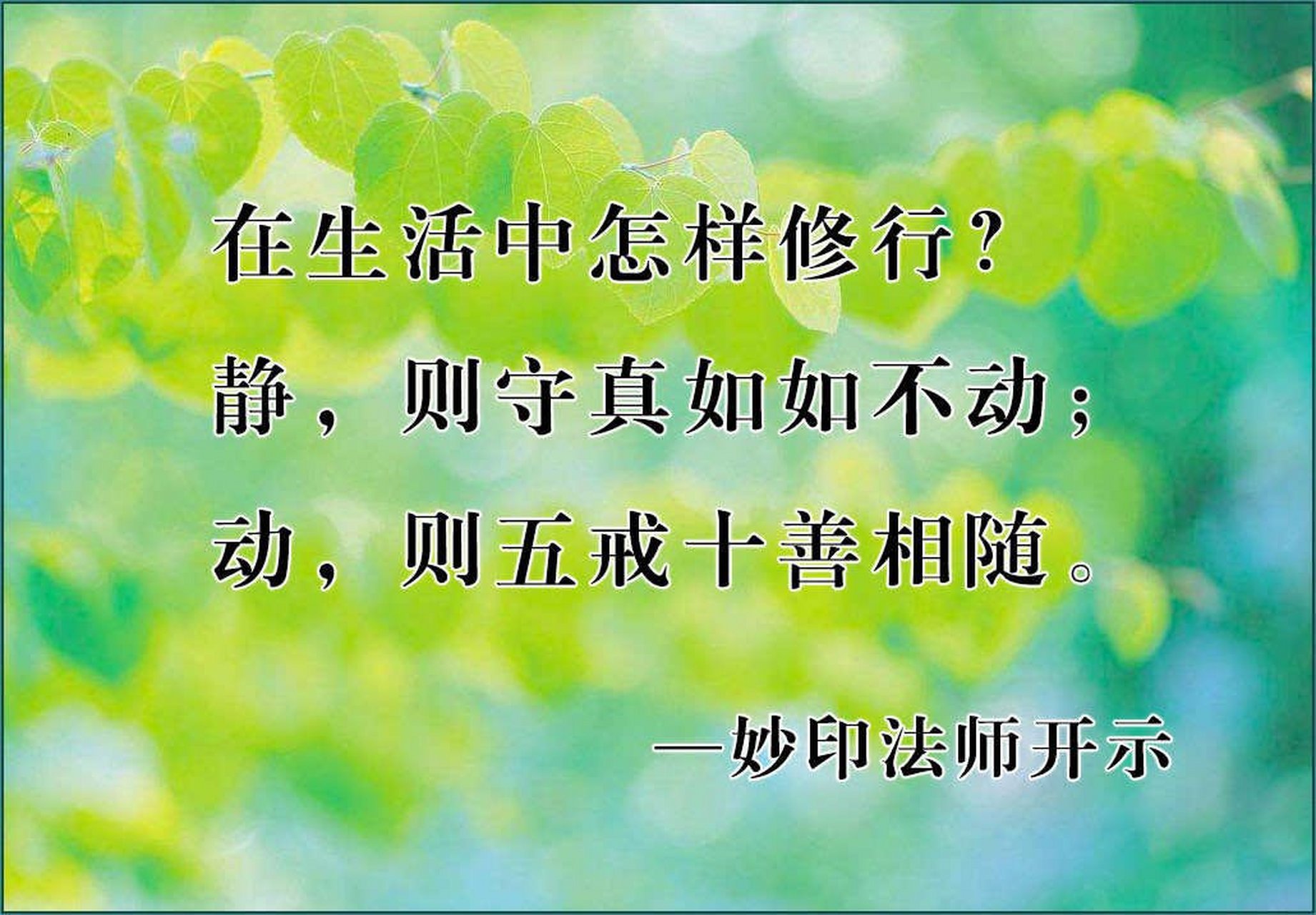 妙印法师简介 出家图片