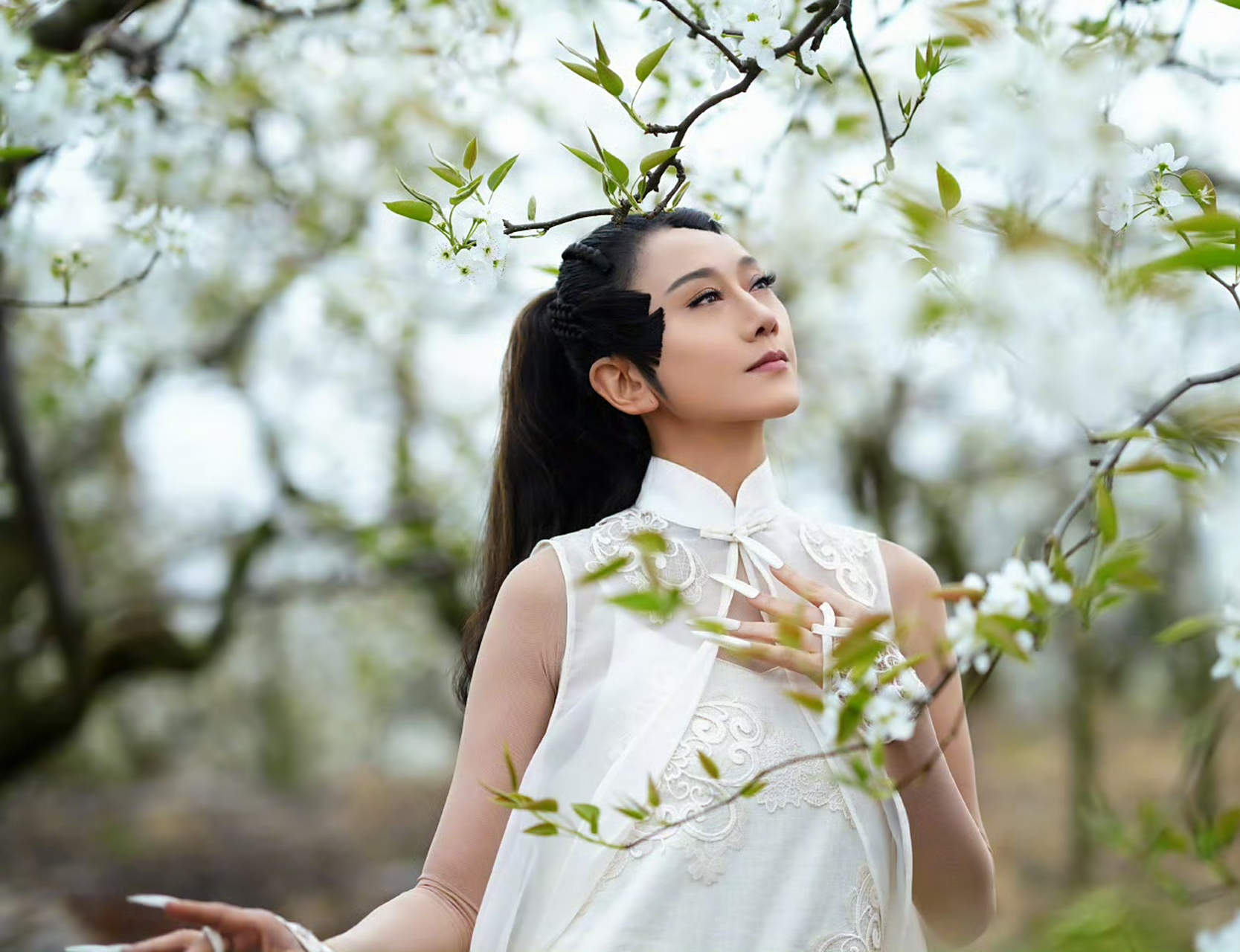 岁的杨丽萍更新了靓照,在照片中她肤色细腻,而且紧致,完全看不出是60