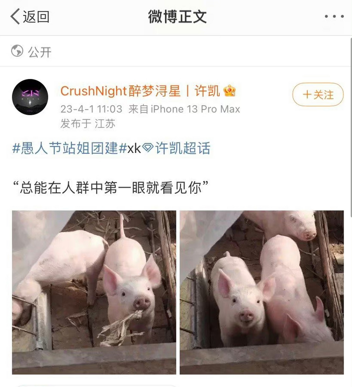 许凯站姐发了几头猪,[awsl][awsl][awsl]还说"