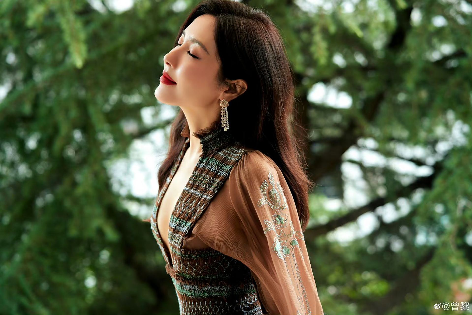 曾黎一身深v刺绣薄纱长裙,彰显出大气优雅.