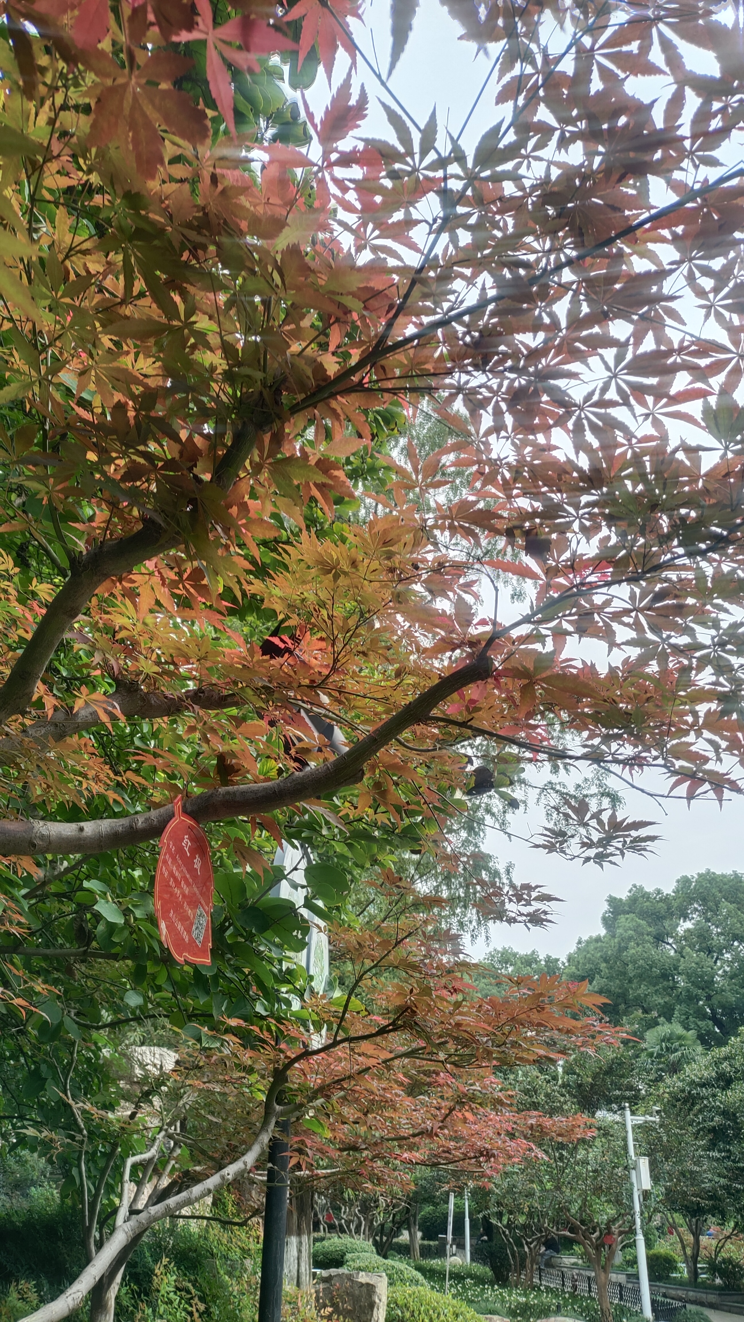 洪山公园 精美无限