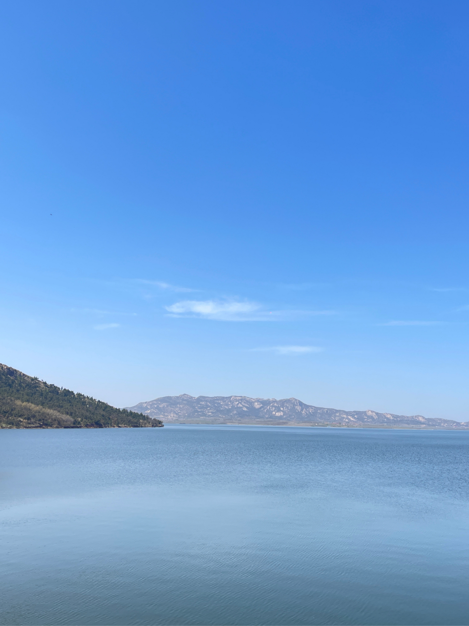 米山水库 母猪河 阳光灿烂水光冰冷 🈚️